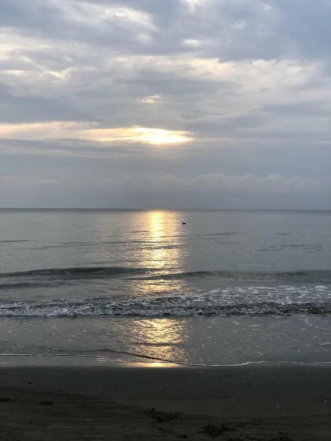 ホテル ホテルCartagena Beach Bungalows