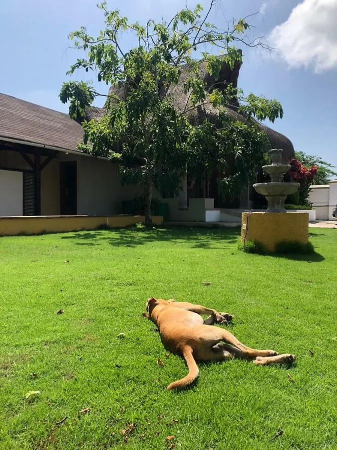 ホテルCartagena Beach Bungalows 3*, Cartagena